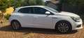 Renault Megane 1.5 dci 81kw 110cv Bianco - thumbnail 7