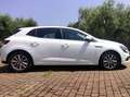 Renault Megane 1.5 dci 81kw 110cv Bianco - thumbnail 6