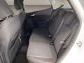 Ford Fiesta Active 1.0 ecoboost h 125cv Bianco - thumbnail 13