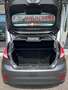 Ford Fiesta 1.5 TDCi 95CV 5 porte Business Gris - thumbnail 14