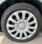 Ford Fiesta 1.5 TDCi 95CV 5 porte Business Gris - thumbnail 5