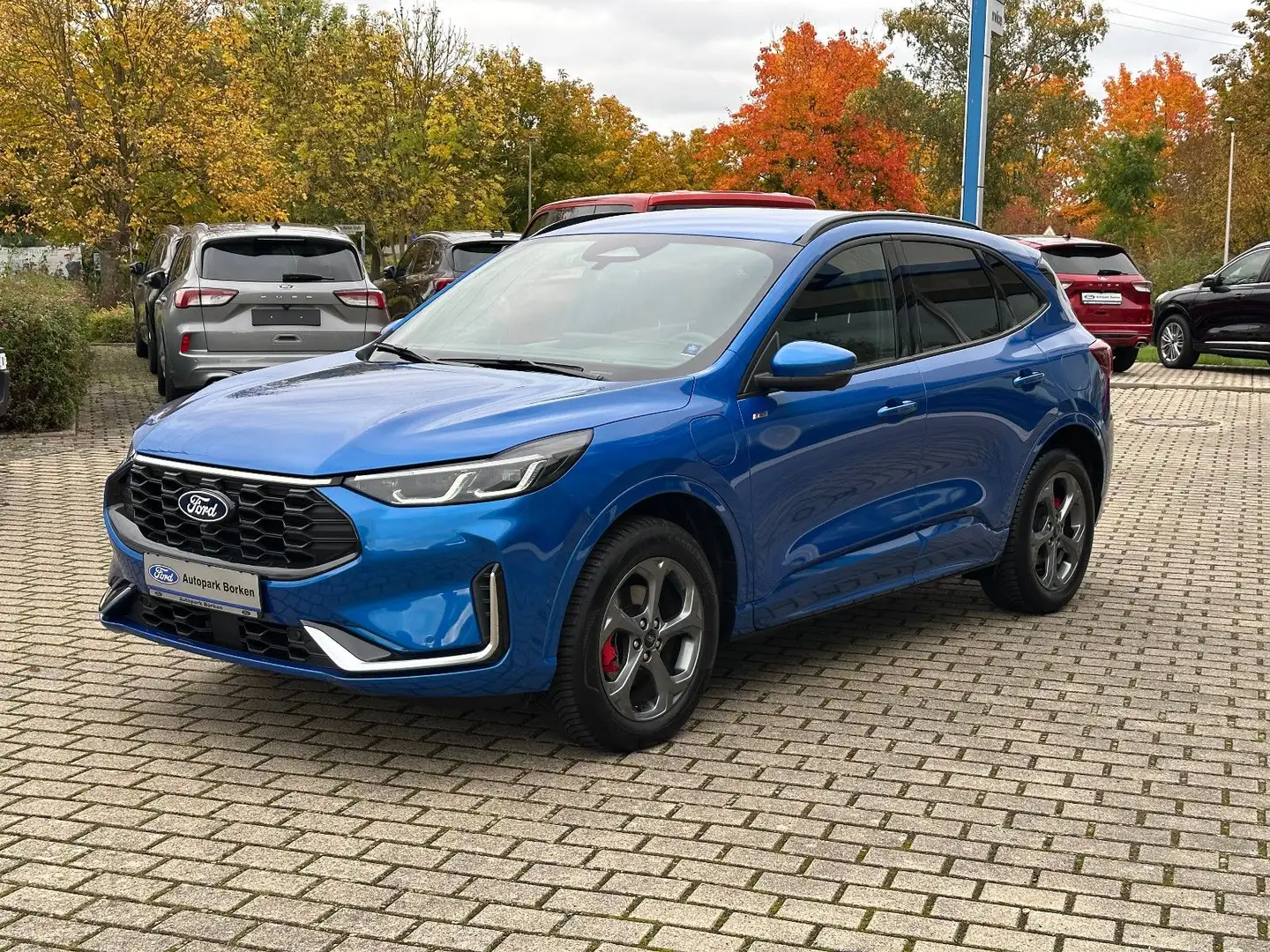 Ford Kuga Plug-In Hybrid ST-Line X  Neus Model Winter Blau - 1