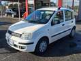 Fiat Panda Panda 1.2 Active 69cv E5 Bianco - thumbnail 4