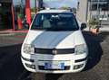 Fiat Panda Panda 1.2 Active 69cv E5 Bianco - thumbnail 5