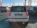 Fiat Panda Panda 1.2 Active 69cv E5 Bianco - thumbnail 2