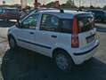 Fiat Panda Panda 1.2 Active 69cv E5 Bianco - thumbnail 3