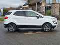 Ford EcoSport Cool & Connect*1.Hand*Navi*Tempo* Blanc - thumbnail 6