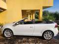 Volkswagen Golf Golf VI 2008 CabrioCabrio 1.6 tdi 105cv Bianco - thumbnail 3