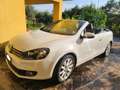 Volkswagen Golf Golf VI 2008 CabrioCabrio 1.6 tdi 105cv Bianco - thumbnail 1