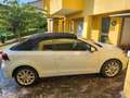Volkswagen Golf Golf VI 2008 CabrioCabrio 1.6 tdi 105cv Bianco - thumbnail 5