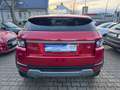 Land Rover Range Rover Evoque Pure/Kamera/Leder/ Rot - thumbnail 7