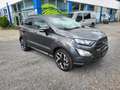 Ford EcoSport ST-Line Grau - thumbnail 2