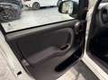 Fiat Panda 1.0 firefly hybrid s&s 70cv Weiß - thumbnail 12