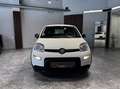 Fiat Panda 1.0 firefly hybrid s&s 70cv Weiß - thumbnail 2
