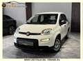 Fiat Panda 1.0 firefly hybrid s&s 70cv Weiß - thumbnail 1
