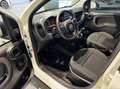Fiat Panda 1.0 firefly hybrid s&s 70cv Weiß - thumbnail 13