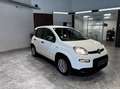 Fiat Panda 1.0 firefly hybrid s&s 70cv Weiß - thumbnail 8