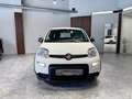 Fiat Panda 1.0 firefly hybrid s&s 70cv Blanco - thumbnail 3