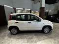 Fiat Panda 1.0 firefly hybrid s&s 70cv Weiß - thumbnail 7