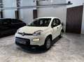 Fiat Panda 1.0 firefly hybrid s&s 70cv Weiß - thumbnail 9