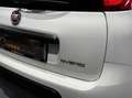 Fiat Panda 1.0 firefly hybrid s&s 70cv Weiß - thumbnail 11