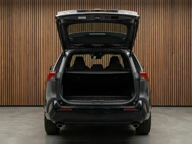 Toyota RAV4 view 9