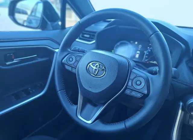 Toyota RAV4 view 10