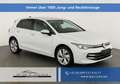 Volkswagen Golf 1.5 TSI eHybrid 150 kW Edition 50 VIII Style, N... Weiß - thumbnail 1