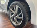 SEAT Ibiza 1.6 tdi BLACK EDITION/GOMME NUOVE/APPLE C.PLAY Bianco - thumbnail 15