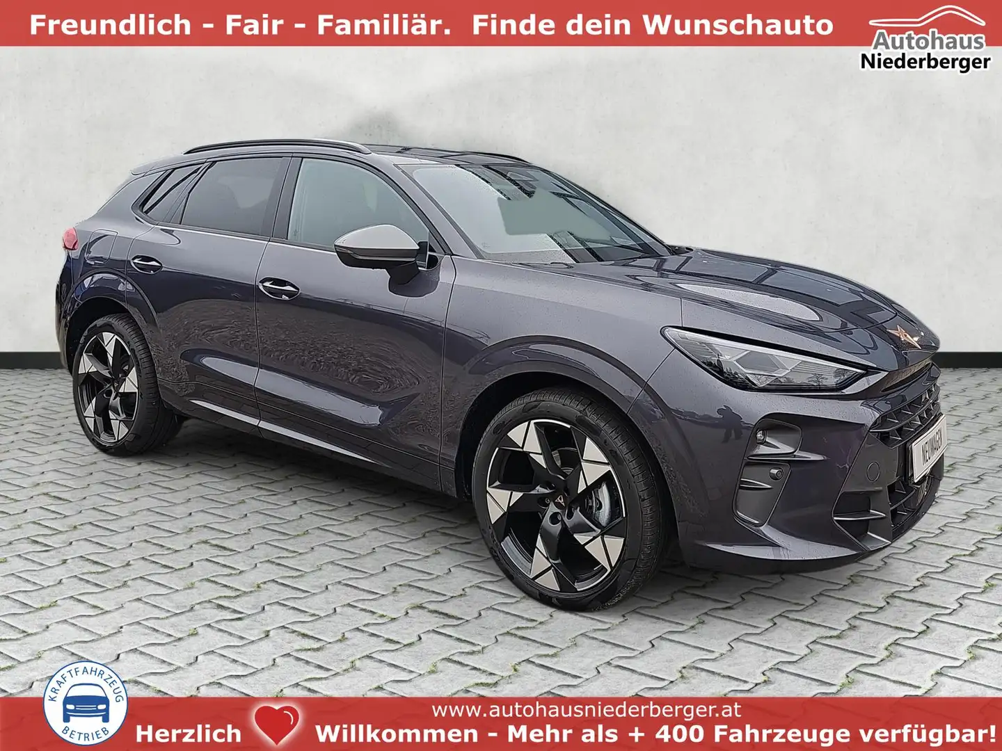 CUPRA Terramar 1.5 eTSI 110 kW DSG / HeadUp Pano Navi 110 kW (... Violett - 1