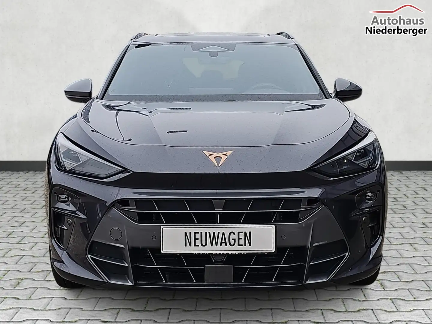 CUPRA Terramar 1.5 eTSI 110 kW DSG / HeadUp Pano Navi 110 kW (... Violett - 2