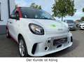 smart forFour forfour electric drive / EQ 1 Hand NAVI Bianco - thumbnail 18