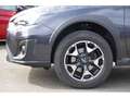 Subaru XV Exclusive 1.6i EU6d-T 1.6 Automatik Grau - thumbnail 3