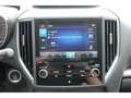 Subaru XV Exclusive 1.6i EU6d-T 1.6 Automatik Grau - thumbnail 21