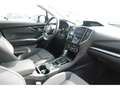 Subaru XV Exclusive 1.6i EU6d-T 1.6 Automatik Grau - thumbnail 10