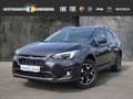 Subaru XV Exclusive 1.6i EU6d-T 1.6 Automatik Grau - thumbnail 1