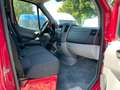 Mercedes-Benz Sprinter 313 CDI//L1/H1//1.Hand//AHK 2,8 t//TOP Rot - thumbnail 7