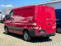 Mercedes-Benz Sprinter 313 CDI//L1/H1//1.Hand//AHK 2,8 t//TOP Rot - thumbnail 5
