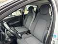 Renault ZOE Experience R110 Z.E. 50 Klima Navi Einparkhilfe Weiß - thumbnail 11