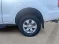 Ford Ranger XLT 4x4 Extrakabine + AHK + Sperrdiff Blanc - thumbnail 13