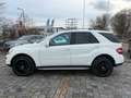 Mercedes-Benz ML 320 ML  4Matic 3,0 CDI AMG Line *AHK Weiß - thumbnail 8
