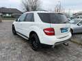 Mercedes-Benz ML 320 ML  4Matic 3,0 CDI AMG Line *AHK Weiß - thumbnail 7