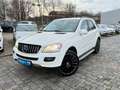 Mercedes-Benz ML 320 ML  4Matic 3,0 CDI AMG Line *AHK Weiß - thumbnail 3