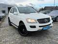 Mercedes-Benz ML 320 ML  4Matic 3,0 CDI AMG Line *AHK Weiß - thumbnail 1