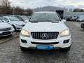 Mercedes-Benz ML 320 ML  4Matic 3,0 CDI AMG Line *AHK Weiß - thumbnail 2