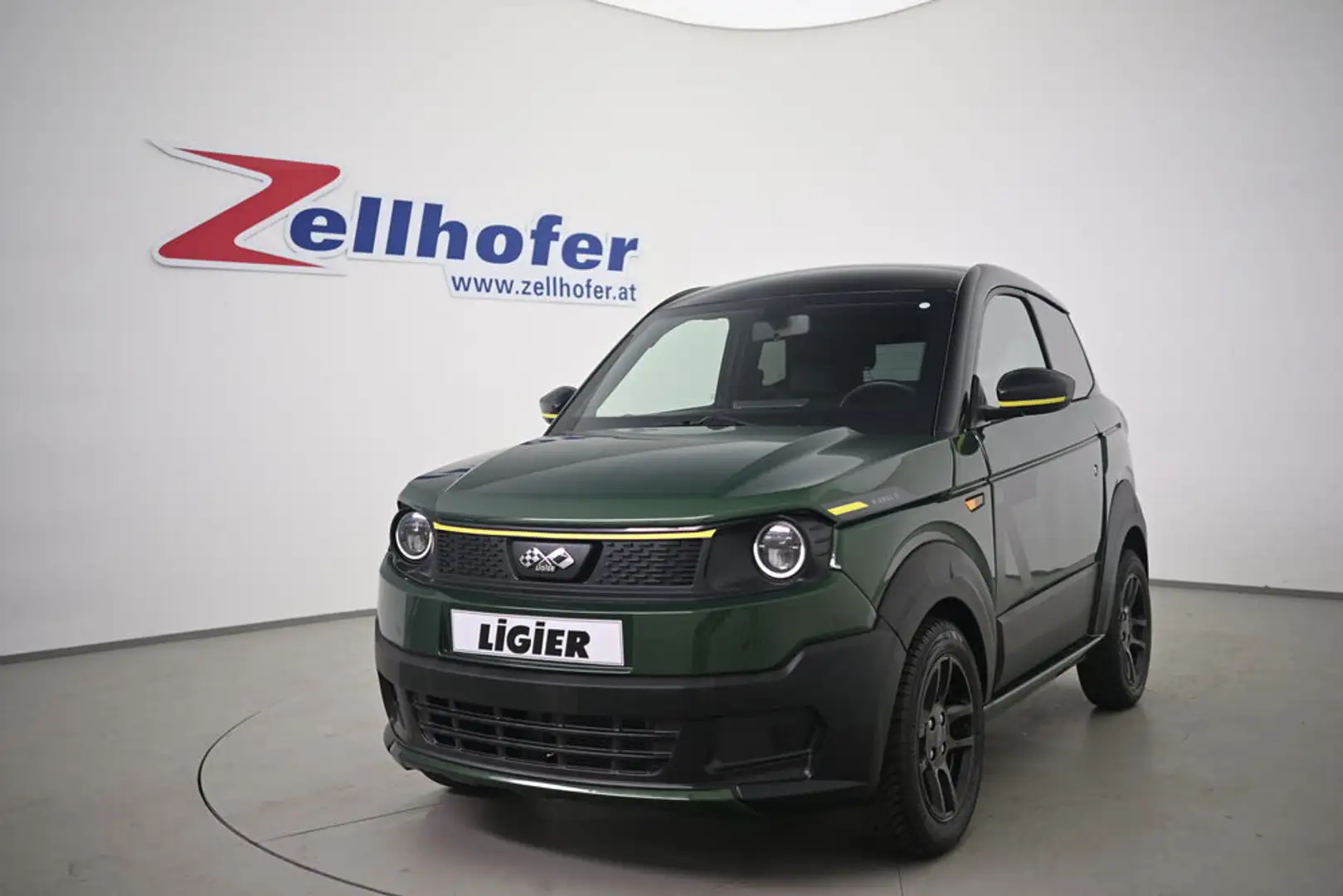 Ligier Myli MyLi R.EBEL X 12 kW/h VOLLAUSSTATTUNG!! Grün - 1