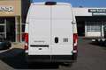 Fiat Ducato Ducato Maxi L4H3 180 Abstandstempomat/ 360Grad ... Weiß - thumbnail 17