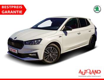 1.0 Monte Carlo LED Sitzheizung Tempomat