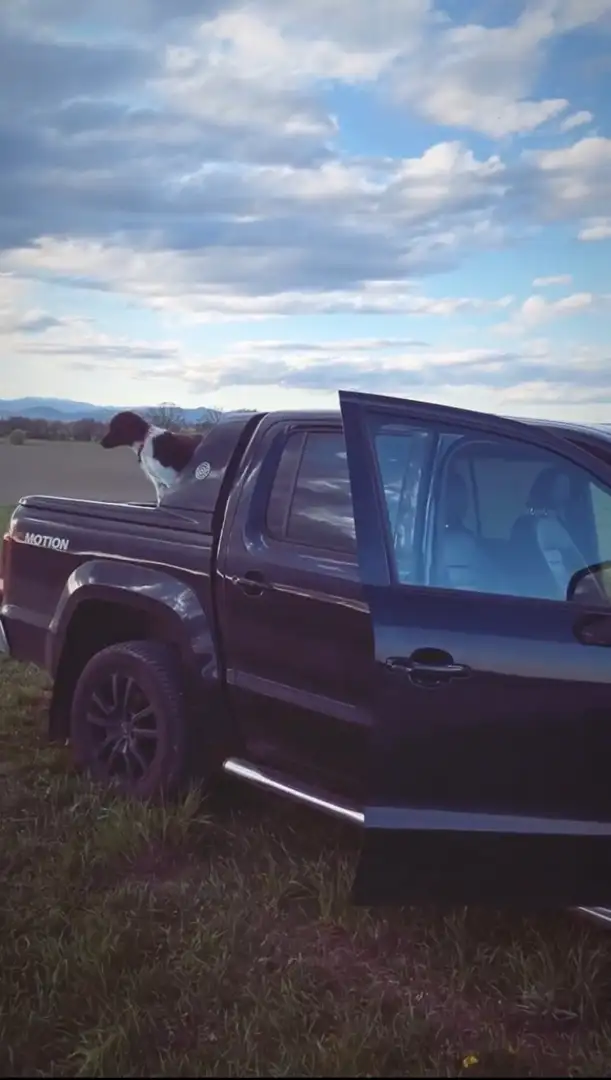 Volkswagen Amarok ** VW Amarok Aventura ** Fotos folgen - 2