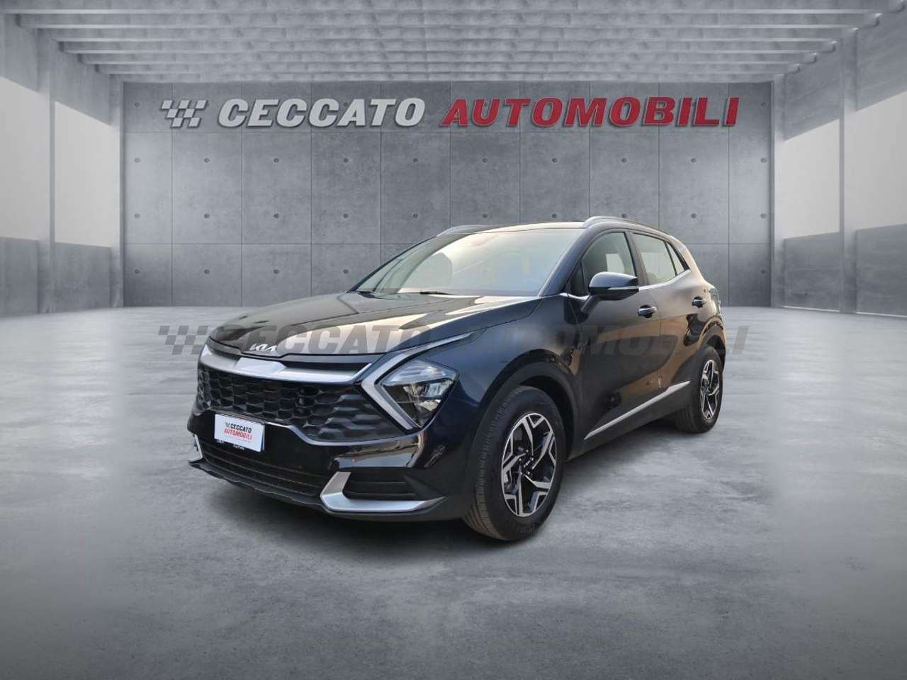 Kia Sportage Sportage 1.6 crdi mhev Business dct